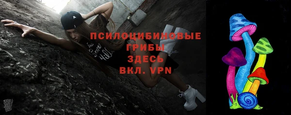 сатива Алексеевка