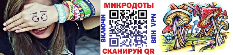 Псилоцибиновые грибы Cubensis Рубцовск